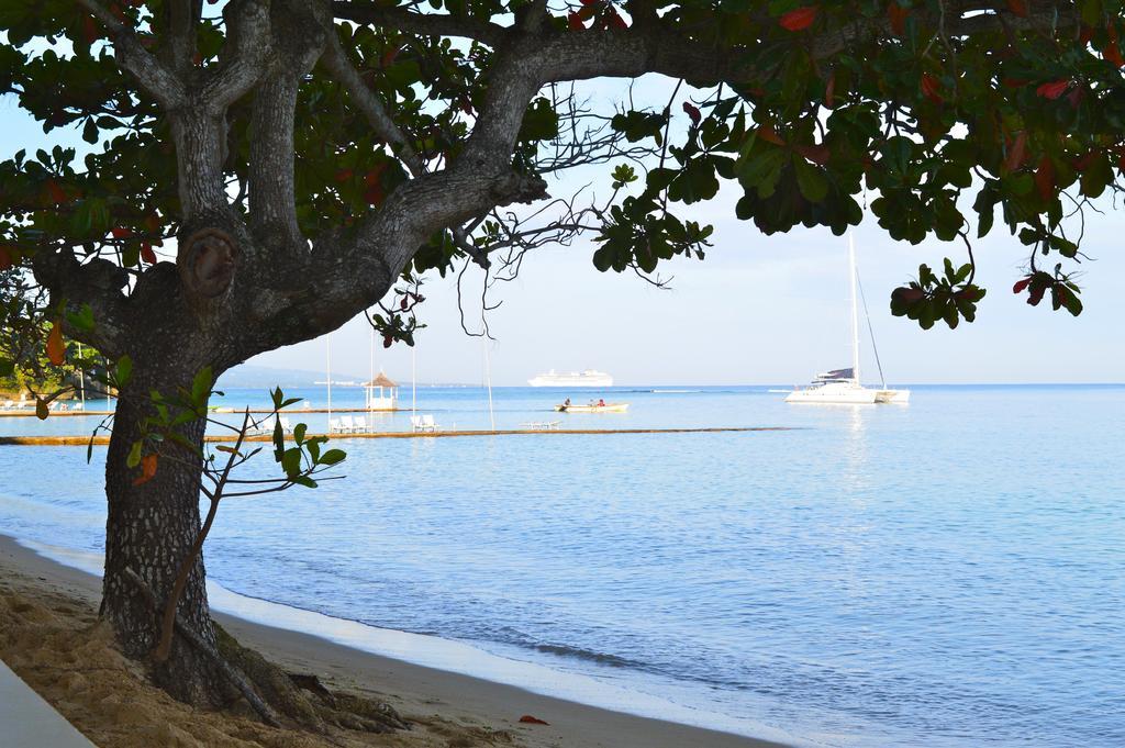Kaz Kreol Beach Hotel Ocho Rios Eksteriør bilde