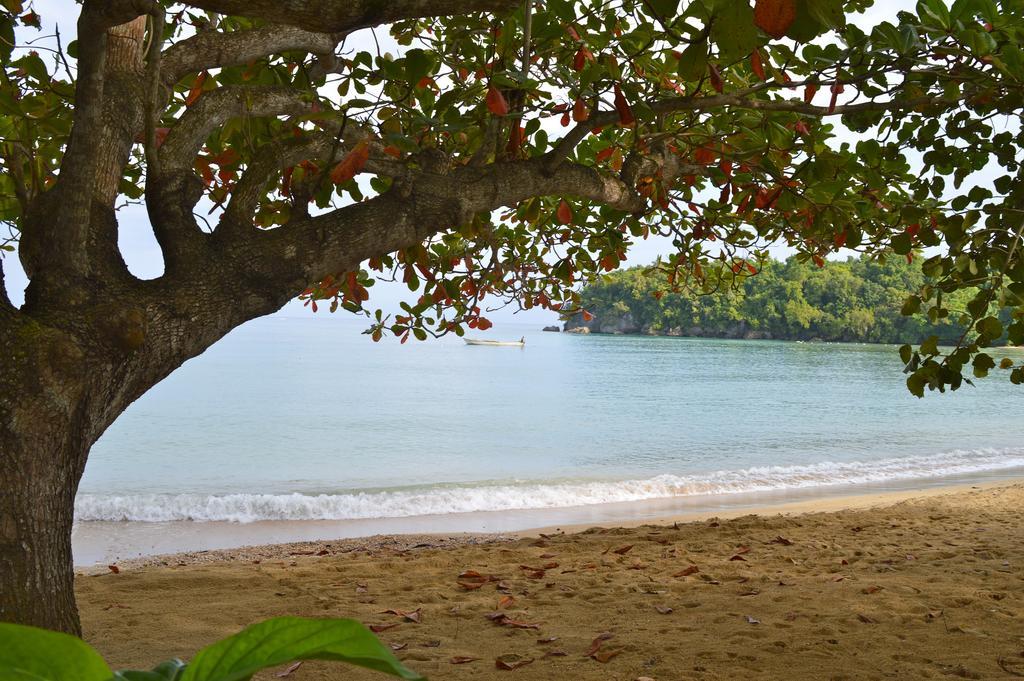 Kaz Kreol Beach Hotel Ocho Rios Eksteriør bilde