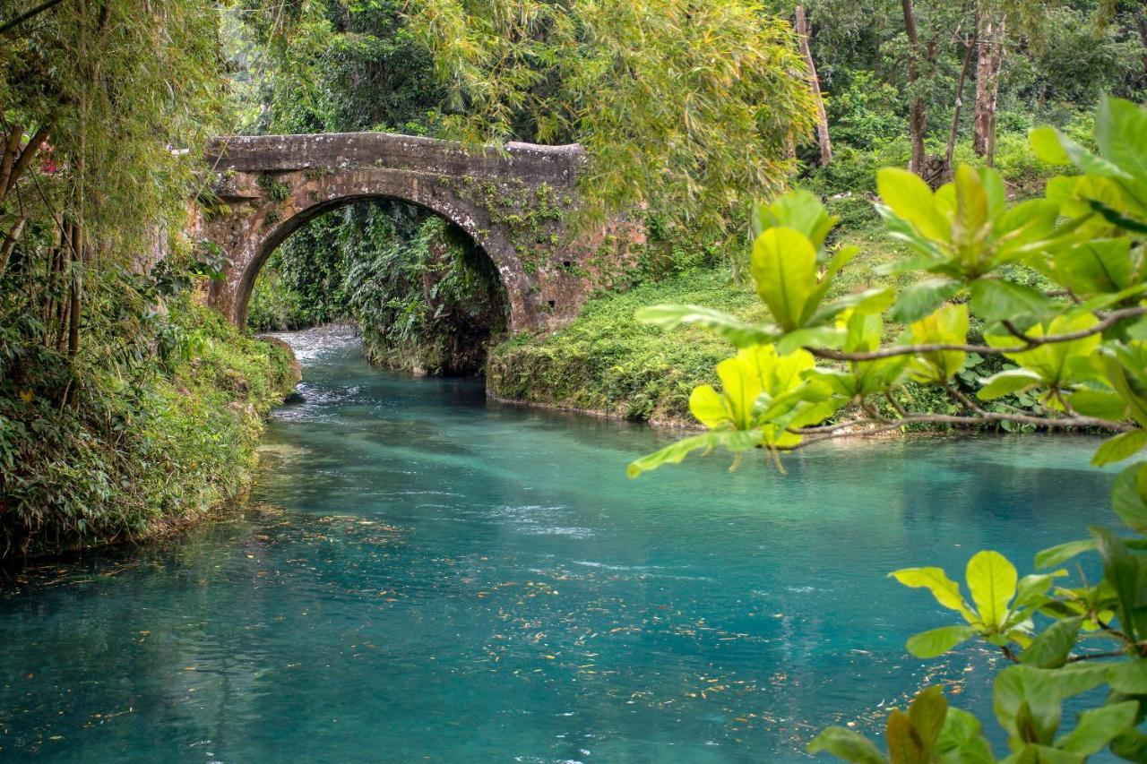Kaz Kreol Beach Hotel Ocho Rios Eksteriør bilde