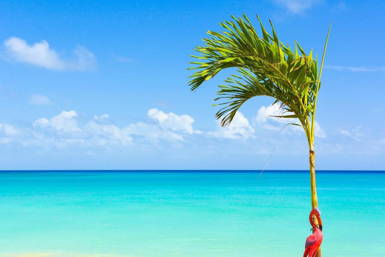 Kaz Kreol Beach Hotel Ocho Rios Eksteriør bilde